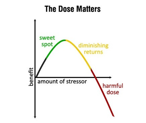 Hormetic dose-response curve showing sweet spot, diminishing returns, and harmful dose
